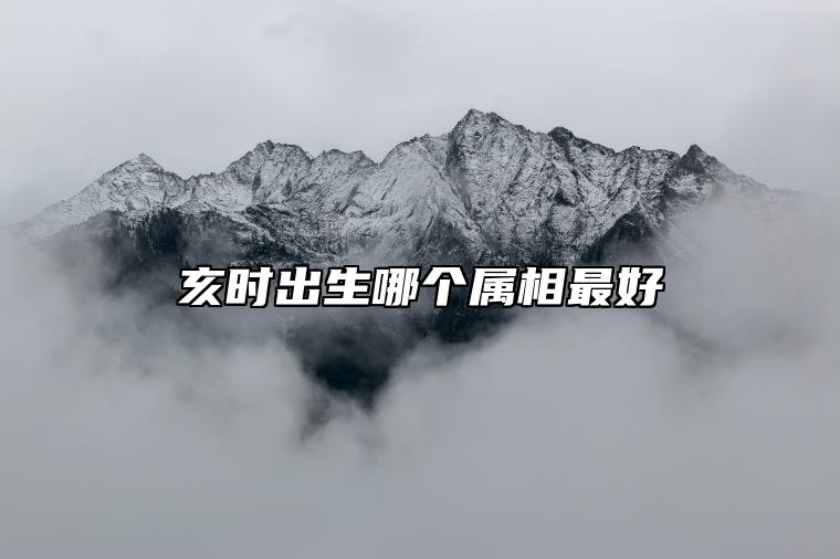 亥时出生哪个属相最好 千金难买亥时命的由来