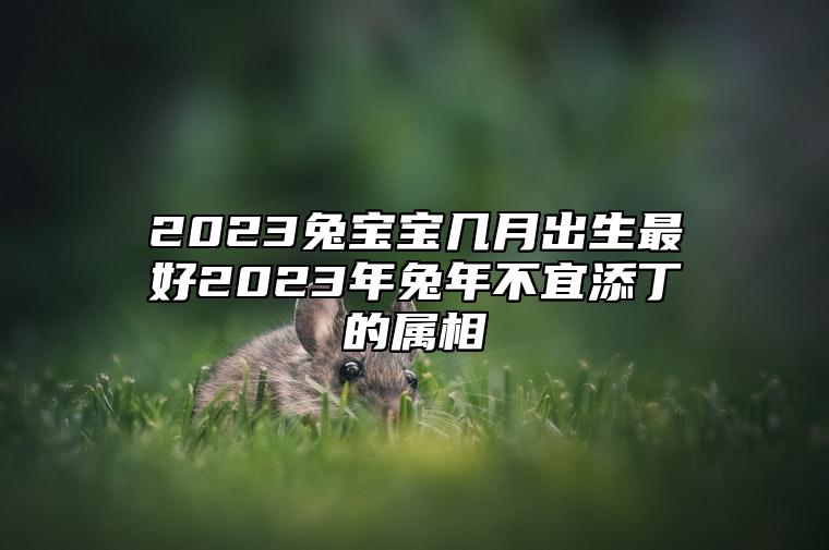 2023兔宝宝几月出生最好？2023年兔年不宜添丁的属相