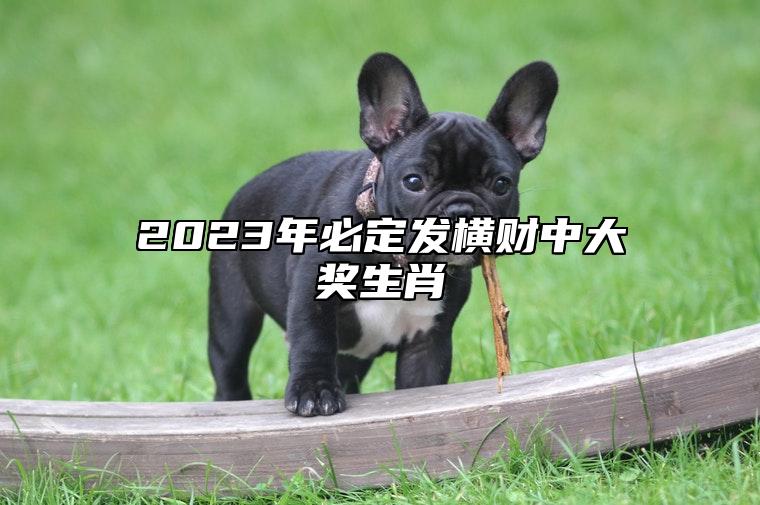 2023年必定发横财中大奖生肖 财神爷偏爱属相