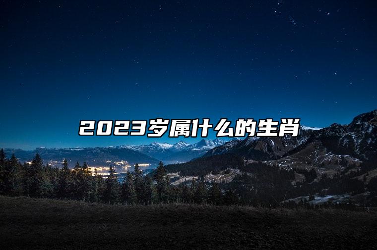 2023岁属什么的生肖 生肖兔在2023年的运势