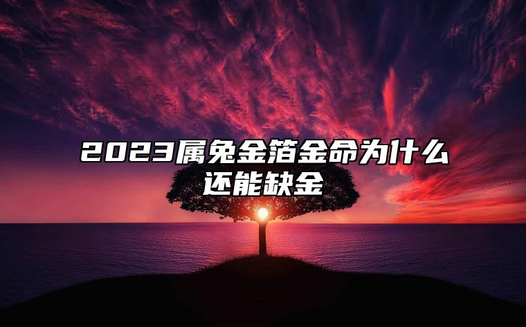 2023属兔金箔金命为什么还能缺金