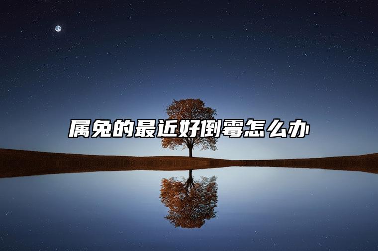 属兔的最近好倒霉怎么办 有什么转运方法