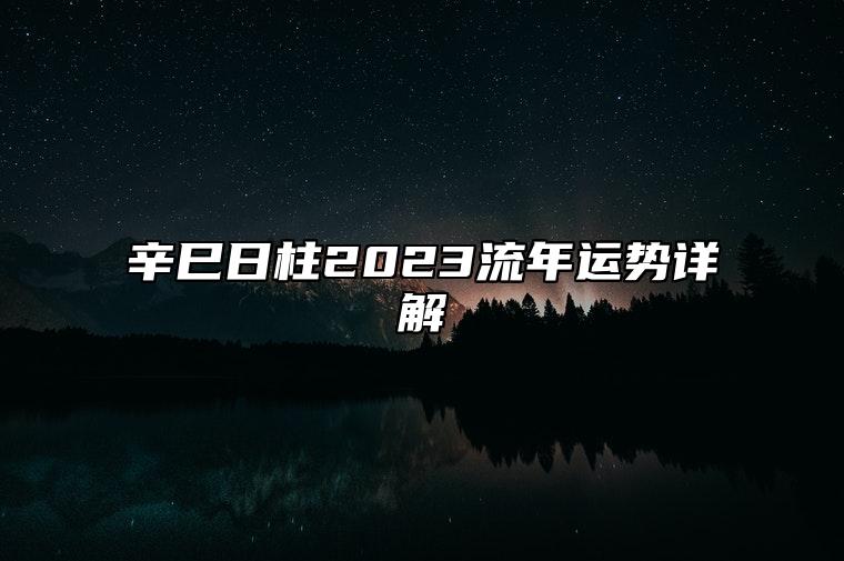 辛巳日柱2023流年运势详解 2023年辛巳日柱结婚好不好？