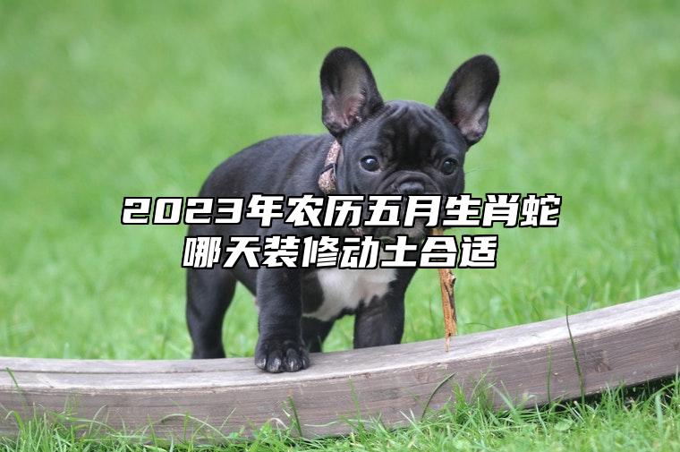 2023年农历五月生肖蛇哪天装修动土合适？