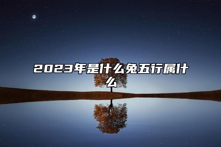 2023年是什麼兔五行屬什麼 2023兔年是什麼年五行