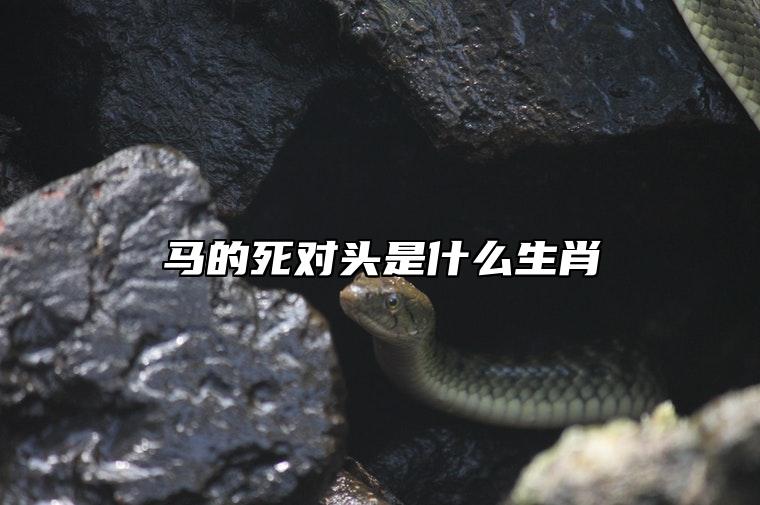 馬的死對頭是什麼生肖 馬的死對頭是什麼生肖動物