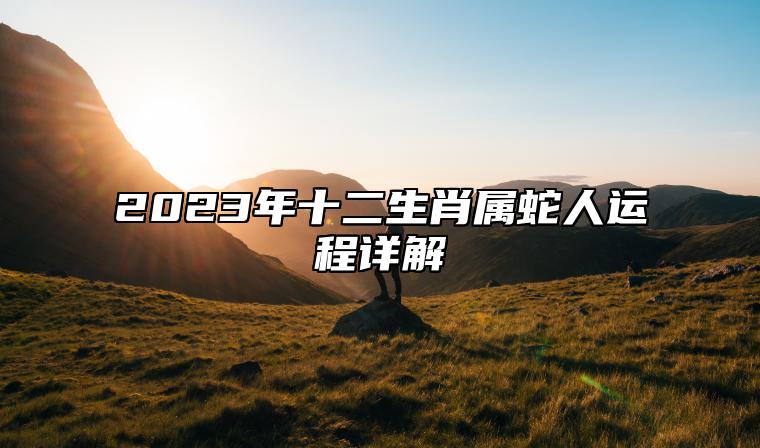 2023年十二生肖属蛇人运程详解 属蛇人2023年全年运势吉凶点评