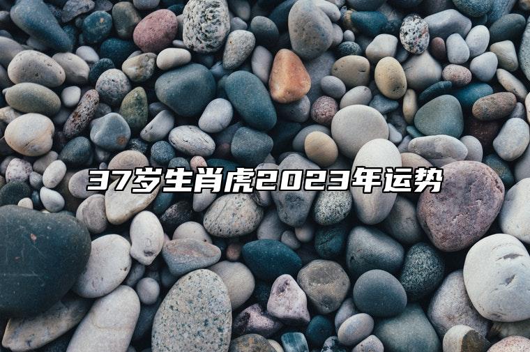 37歲生肖虎2023年運勢 事業不太好