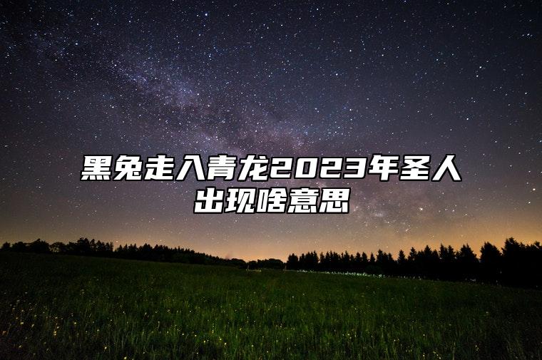 黑兔走入青龙2023年圣人出现啥意思 黑兔走入青龙什么意思