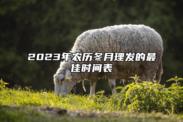 2023年农历冬月理发的最佳时间表 农历冬月哪天理发好