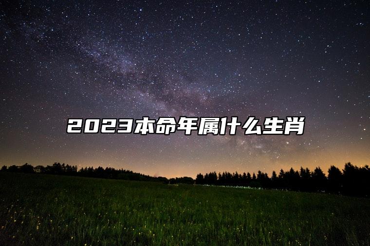 2023本命年属什么生肖 2023本命年兔年要注意什么