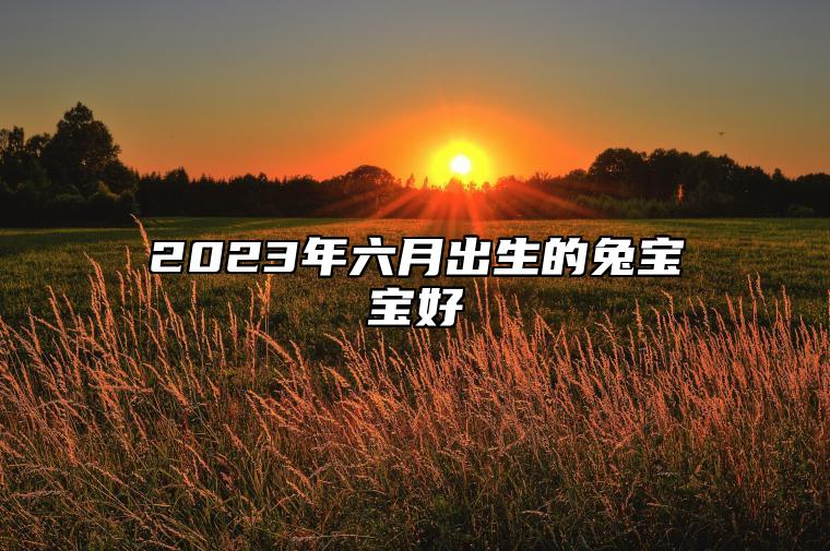 2023年六月出生的兔宝宝好 还是七月生的兔宝宝好