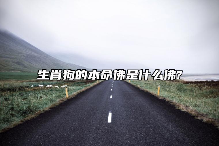 生肖狗的本命佛是什么佛? 属狗的本命佛是什么佛