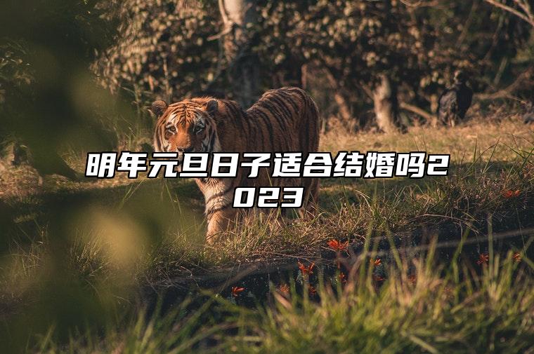 明年元旦日子适合结婚吗2023 推荐2023年1月结婚吉日