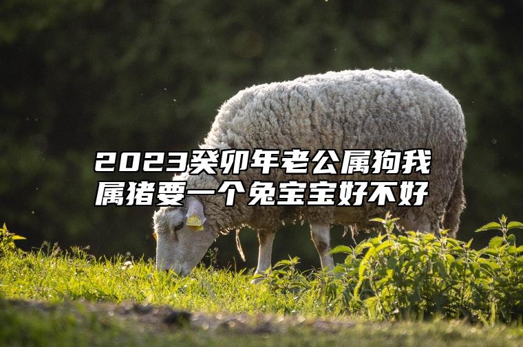 2023癸卯年老公属狗我属猪要一个兔宝宝好不好