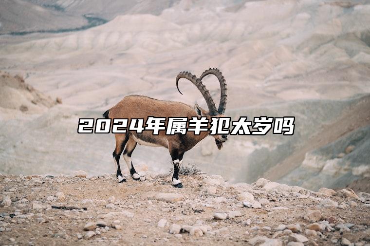 2024年属羊犯太岁吗 2024年属羊犯太岁吗为什么