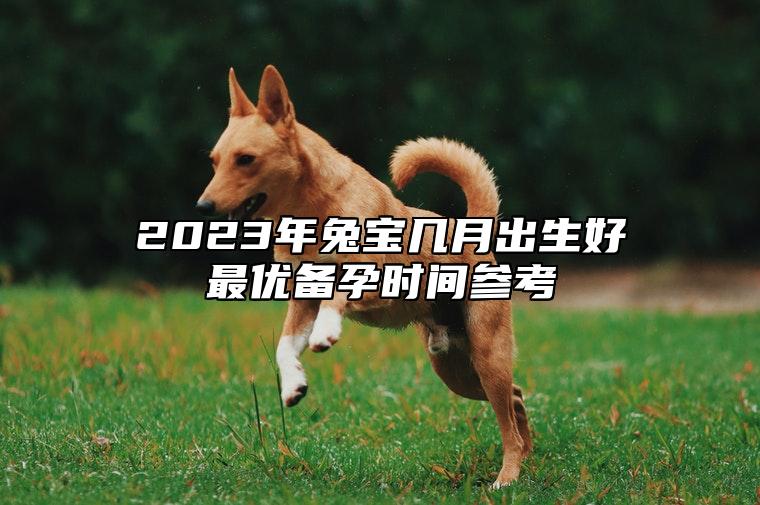 2023年兔宝几月出生好最优备孕时间参考