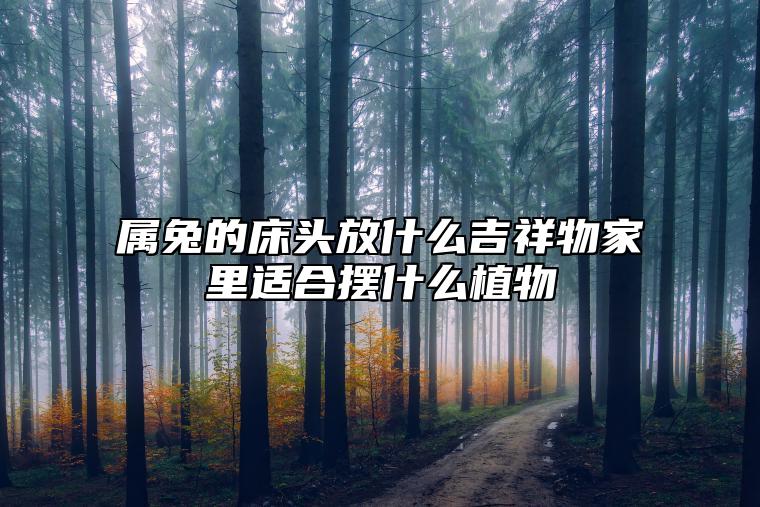 属兔的床头放什么吉祥物家里适合摆什么植物