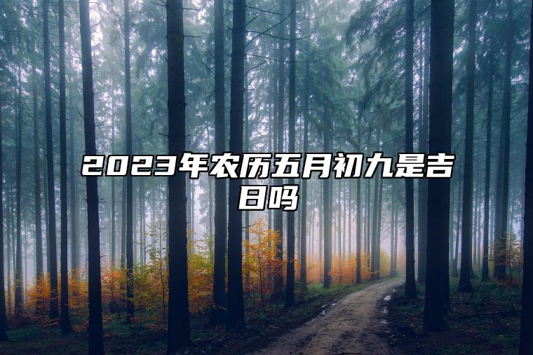 2023年农历五月初九是吉日吗,黄历日子好吗,今日吉时宜忌查询