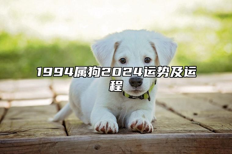 1994属狗2024运势及运程 94属狗2023到2024运势