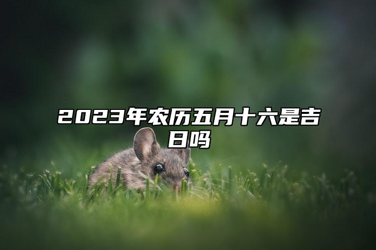 2023年农历五月十六是吉日吗,今天黄历日子好吗,吉时宜忌分析