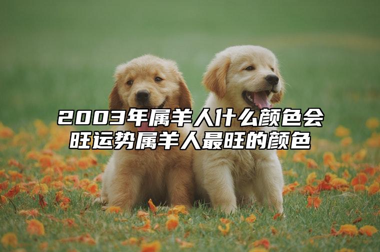 2003年属羊人什么颜色会旺运势？属羊人最旺的颜色