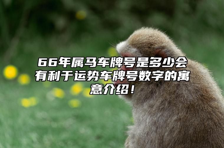 66年属马车牌号是多少会有利于运势？车牌号数字的寓意介绍！