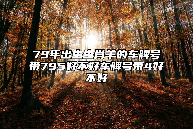 79年出生生肖羊的车牌号带795好不好？车牌号带4好不好？