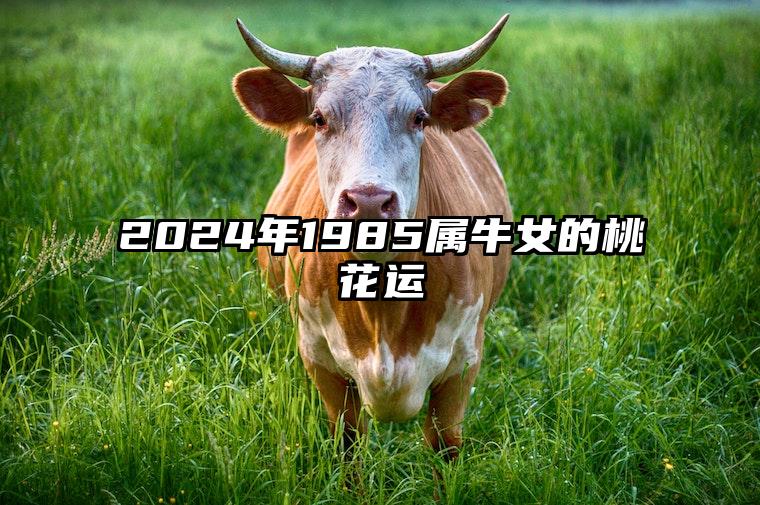 2024年1985属牛女的桃花运 1985属牛人2024年全年运势详解