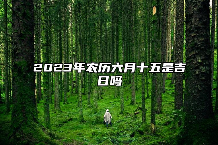 2023年农历六月十五是吉日吗,今天黄历日子好吗,吉时宜忌分析