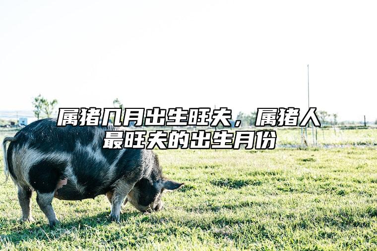 属猪几月出生旺夫，属猪人最旺夫的出生月份 属猪的几月出生旺人旺己