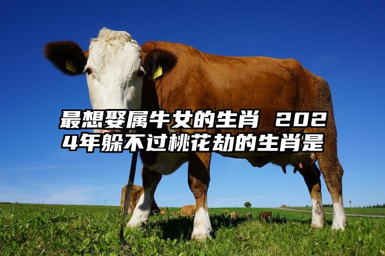 最想娶属牛女的生肖 2024年躲不过桃花劫的生肖是 属牛人2024年爱情好不好