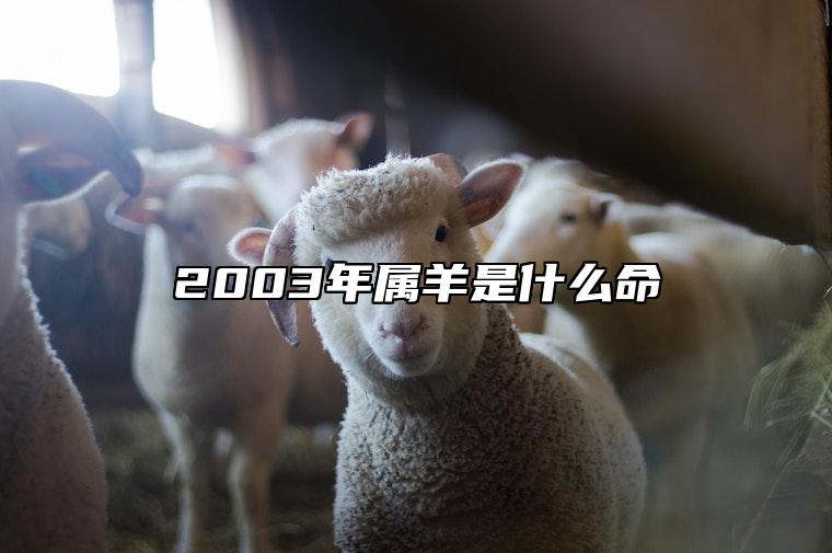 2003年属羊是什么命 2003年属羊是什么命五行属什么