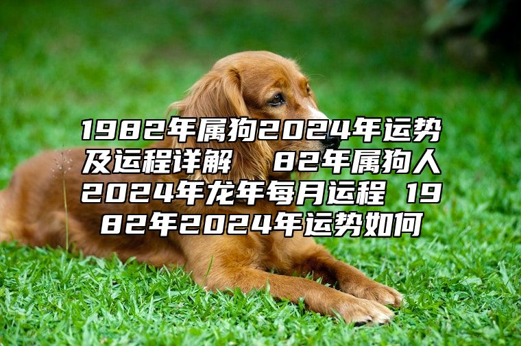 1982年属狗2024年运势及运程详解  82年属狗人2024年龙年每月运程