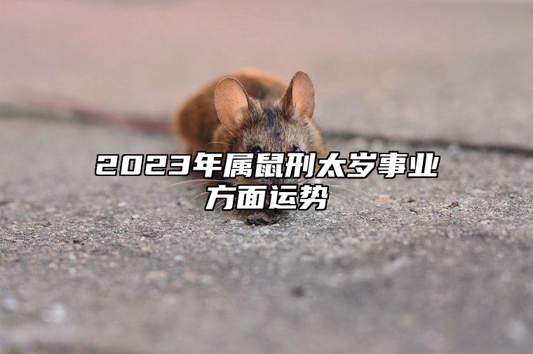 2023年属鼠刑太岁事业方面运势