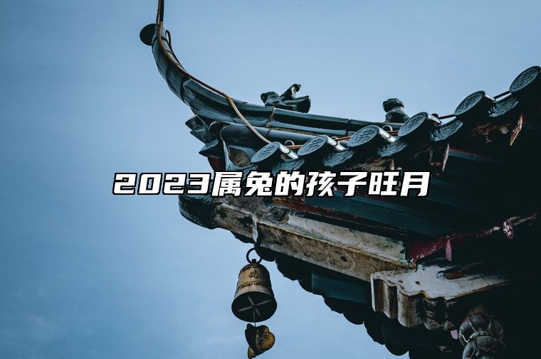 2023属兔的孩子旺月 2023年属兔人的旺月