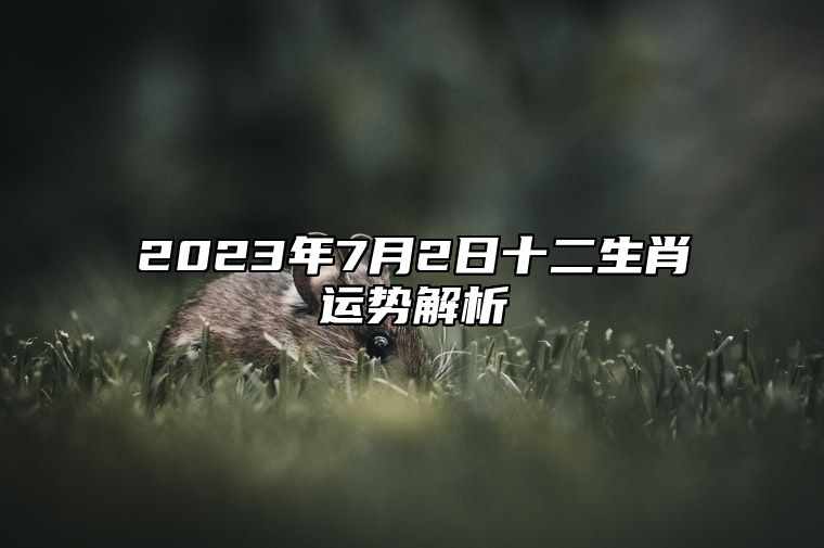 2023年7月2日十二生肖运势解析