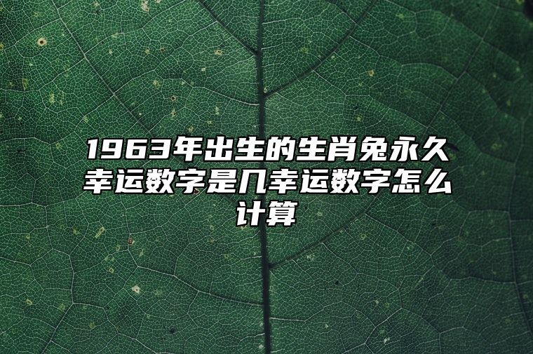 1963年出生的生肖兔永久幸运数字是几？幸运数字怎么计算？