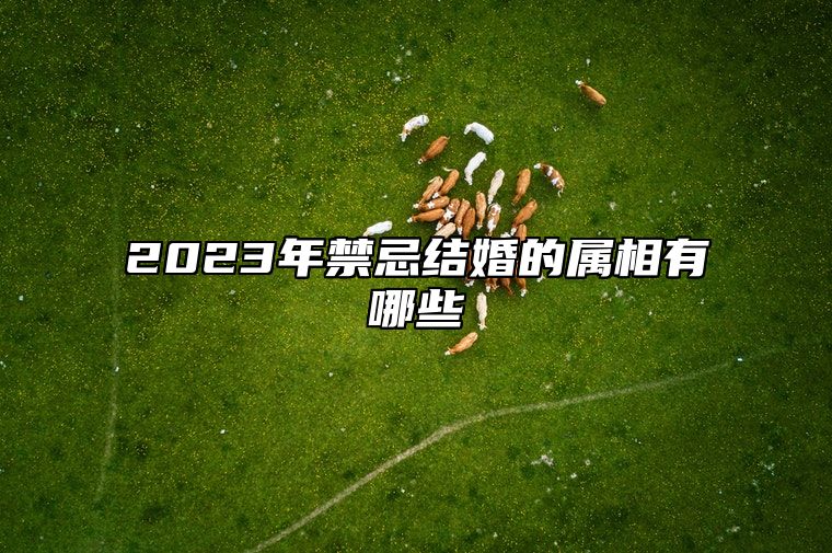 2023年禁忌结婚的属相有哪些 2023年哪些生肖不适宜结婚