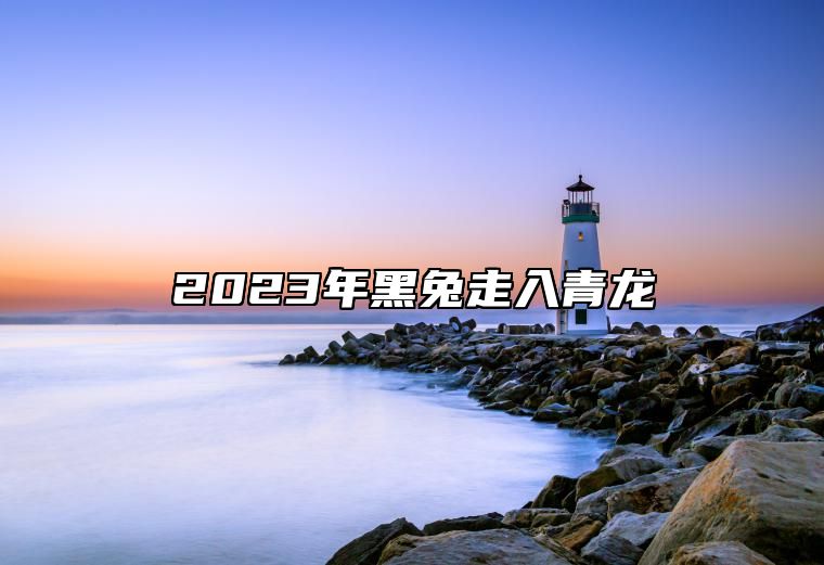 2023年黑兔走入青龙 兔走入青龙欲尽不尽