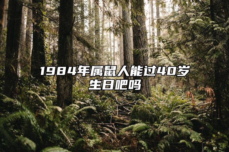 1984年属鼠人能过40岁生日吧吗 1984年属鼠是什么性格