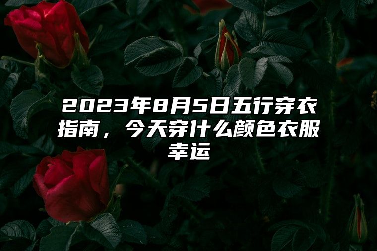 2023年8月5日五行穿衣指南，今天穿什么颜色衣服幸运