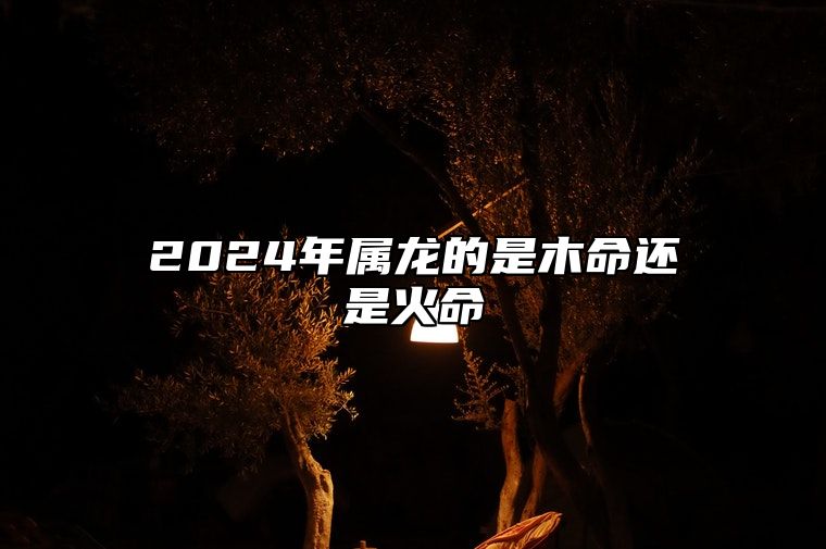 2024年属龙的是木命还是火命 木龙的命运解析