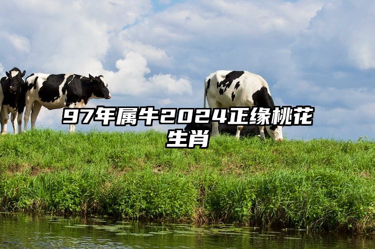 97年属牛2024正缘桃花生肖 1997年属牛2024年运势及运程