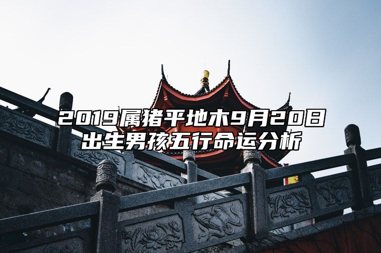 2019属猪平地木9月20日出生男孩五行命运分析