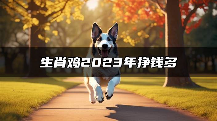 生肖鸡2023年挣钱多 生肖鸡2023年旺财颜色