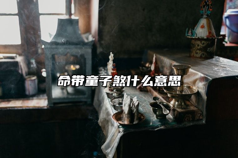 命带童子煞什么意思？