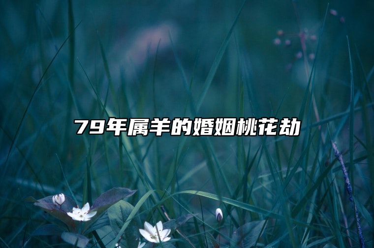 79年属羊的婚姻桃花劫 79年属羊必二婚