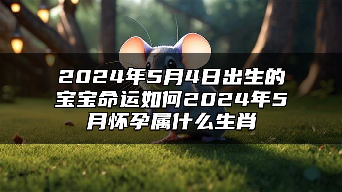 2024年5月4日出生的宝宝命运如何？2024年5月怀孕属什么生肖