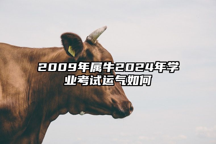 2009年属牛2024年学业考试运气如何